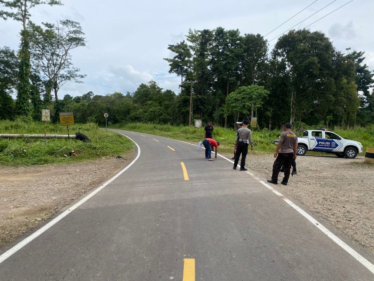 2 Motor Terlibat Adu Banteng di Bula: 6 Luka, 2 Diantaranya Kritis