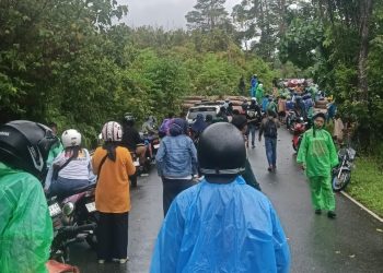 Pohon Tumbang Saat Cuaca Buruk di SBB, Akses Transportasi Terganggu