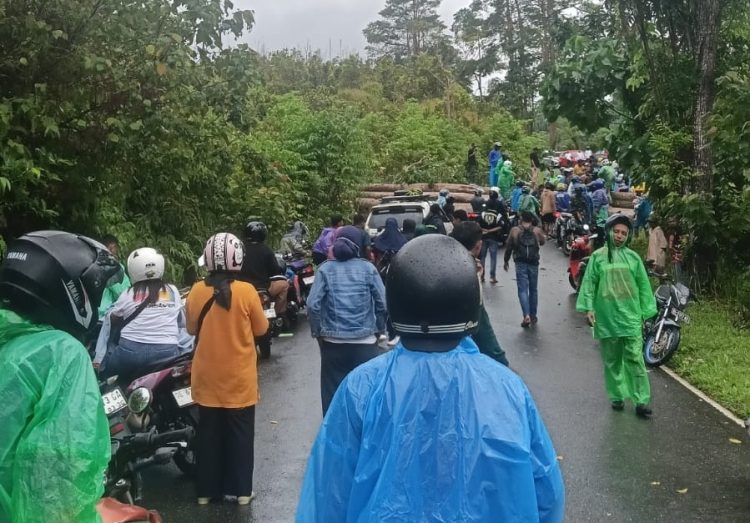 Sebuah pohon tumbang menutup jalan di hutan desa Eti, Kecamatan Seram Barat, Kabupaten Seram Bagian Barat, Senin (12/1/2026).
